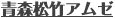 �X���|�A���[